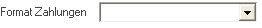 27. Format Zahlungen